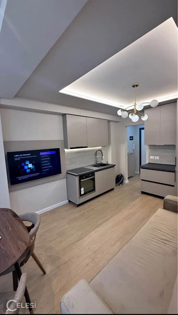 Apartament 1+1 me qira, Materniteti i Ri — foto 2