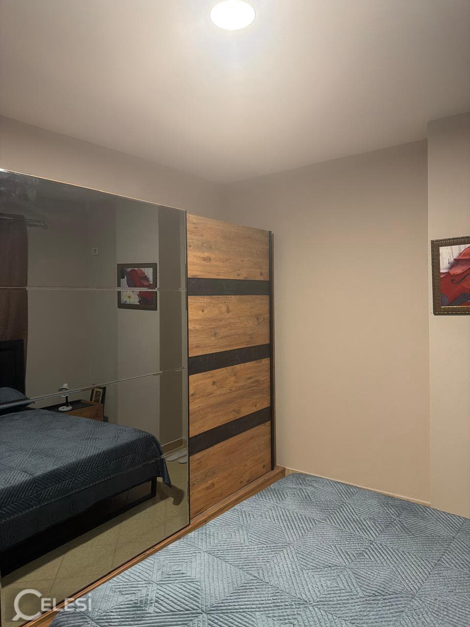 Apartament 1+1 me qira, Rruga Aleksandri i Madh, fillimi i Bulevardit te Ri — foto 2