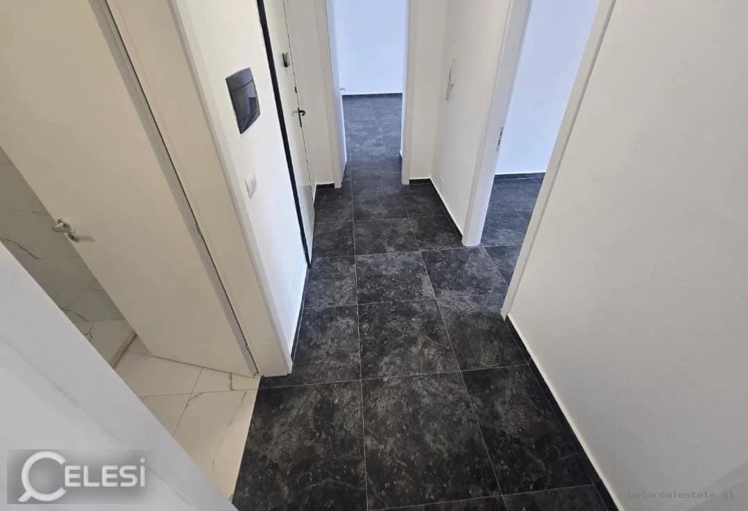 Zyrë me qira, Zogu i Zi — foto 4