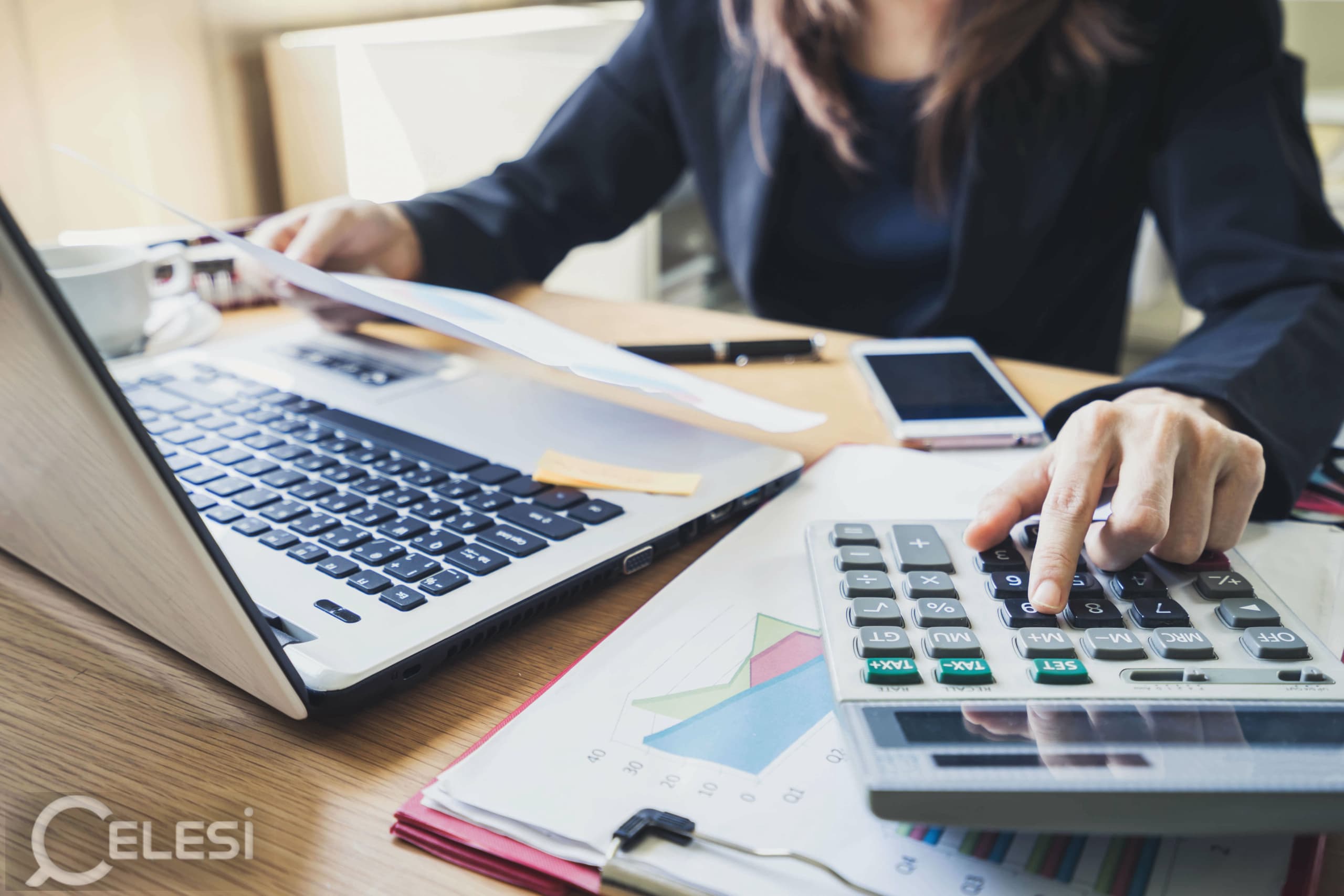 Team Member Assistant Accountant / Finance who will work remotely from Tirana for an American company in NY, USA focused in Accounting , Tax Preparation , and Investment.
